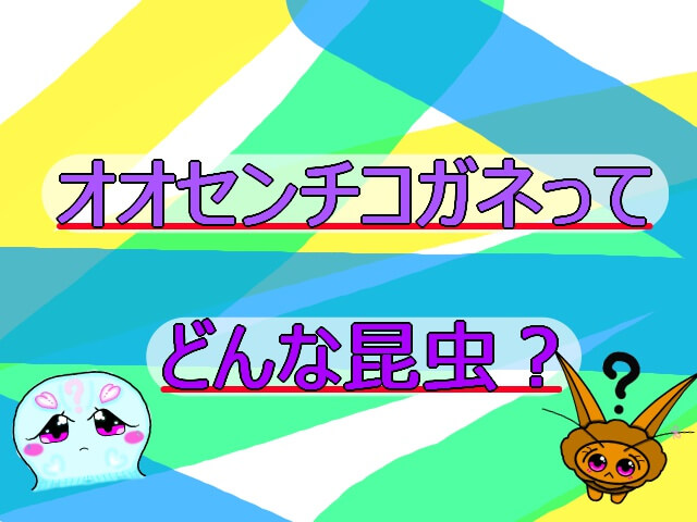 Thumbnail of post image 173